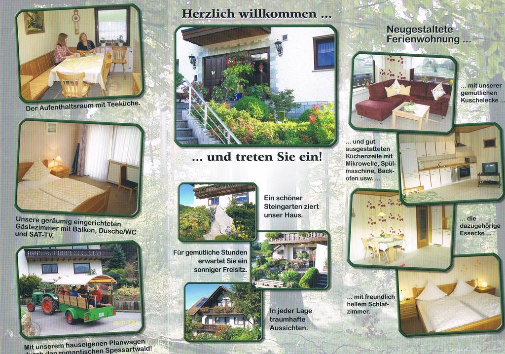 Gaestehaus Cornelia 维登希 外观 照片