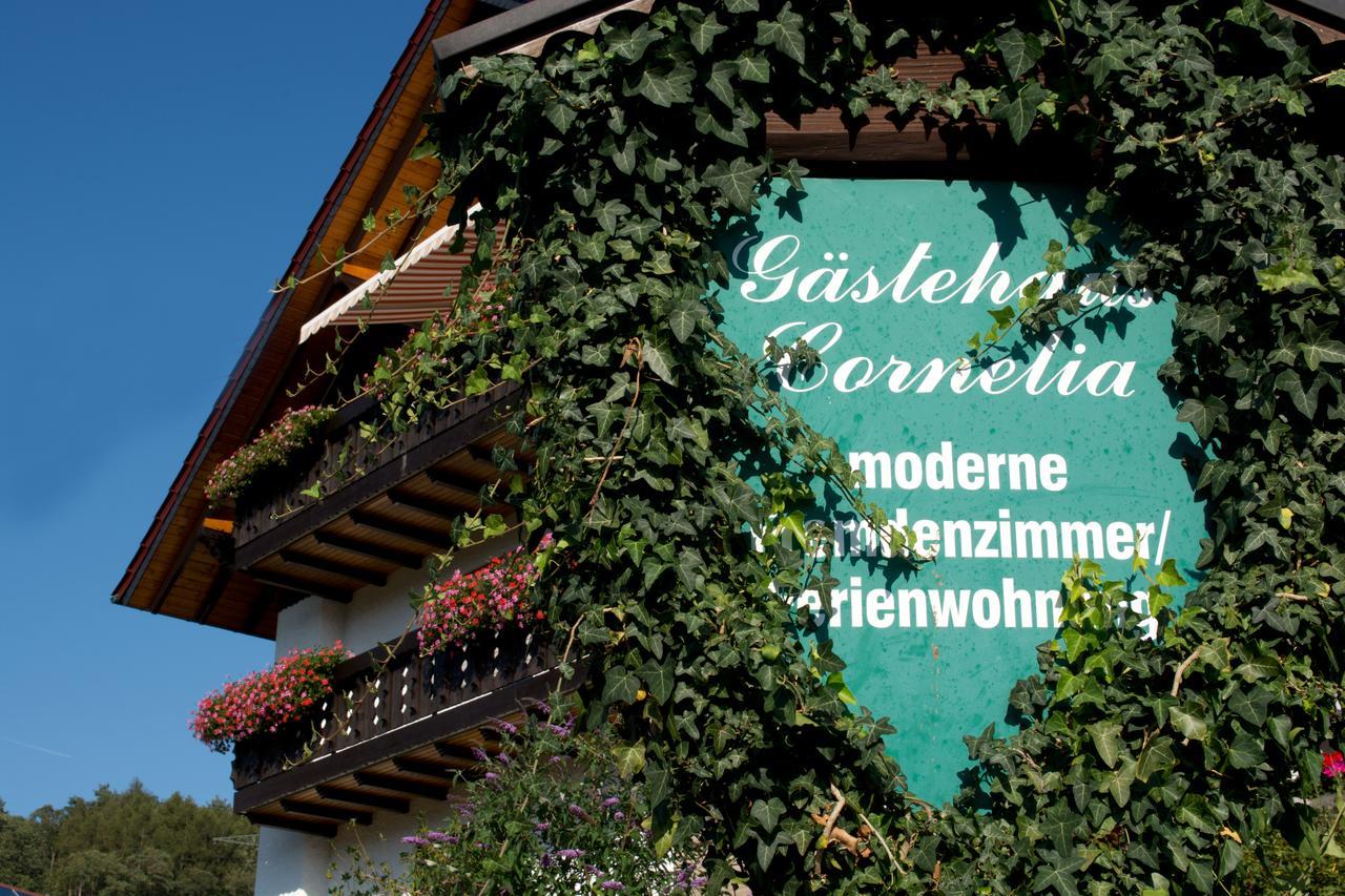 Gaestehaus Cornelia 维登希 外观 照片